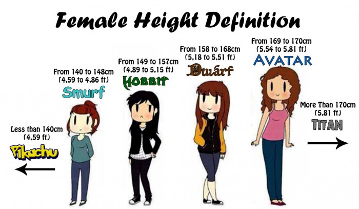 Average height for a midget