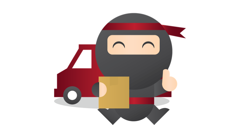 Ninja Driver