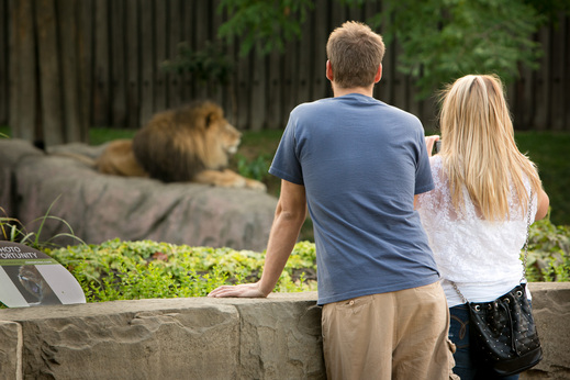Dating at Zoo